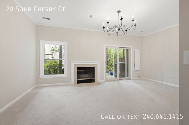 Building Photo - 20 Sour Cherry Ct