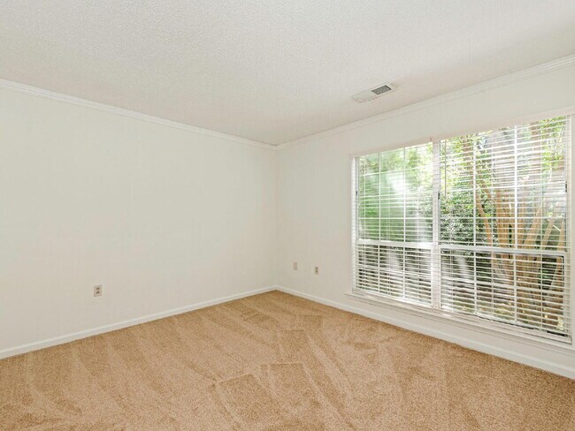 Building Photo - Updated 3 BR unit in the heart of South Park