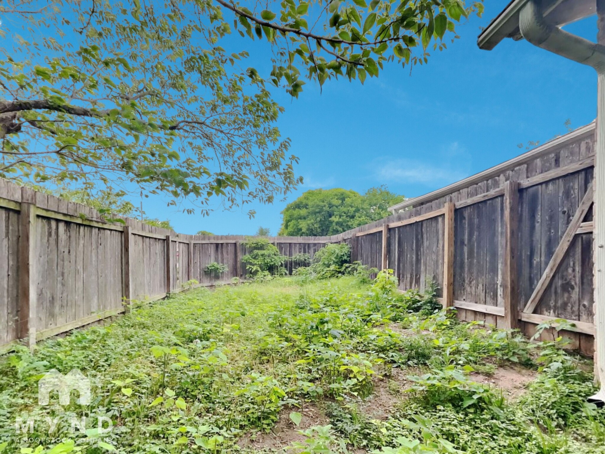 Building Photo - 10701 Daryl Cove