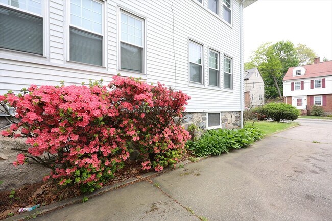 Building Photo - 8 Verndale Rd