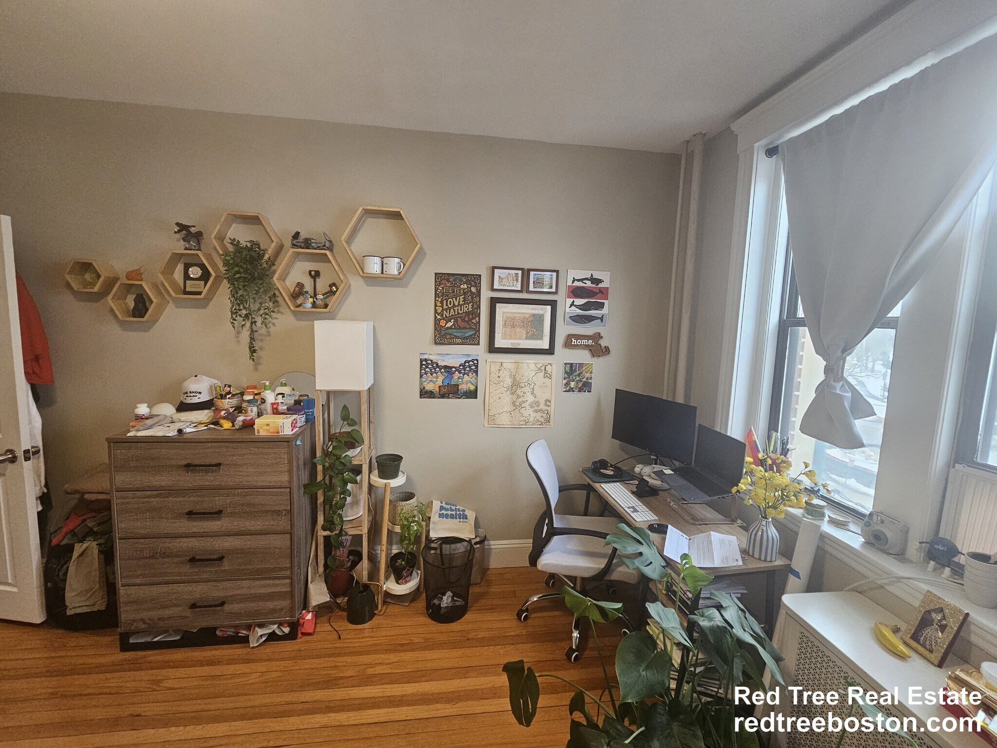 Building Photo - 370 Chestnut Hill Ave