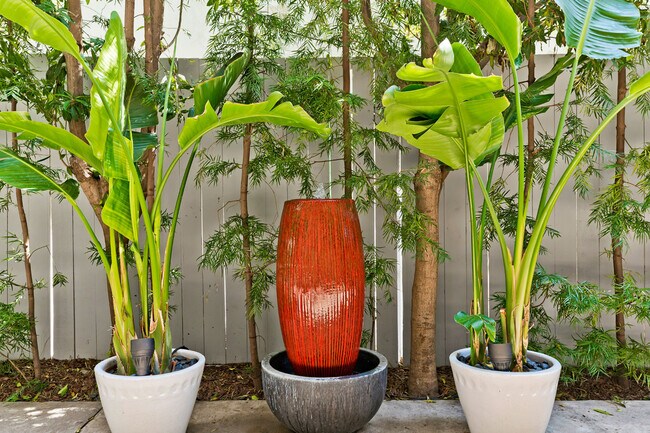 Garden Fountain - 1035 N Sierra Bonita Ave