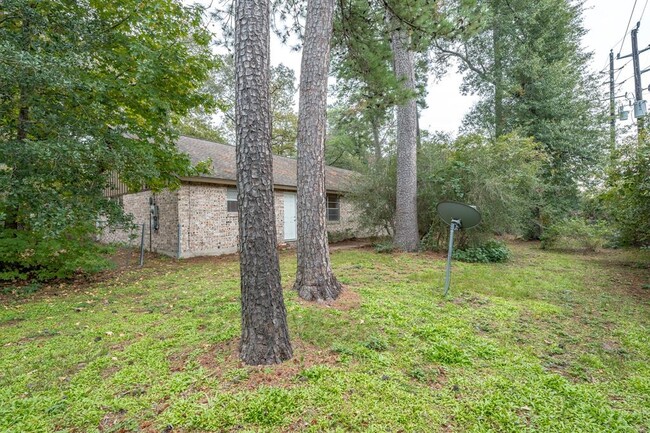 Building Photo - 226 Spring Pines Dr