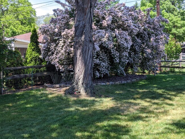 Building Photo - 3733 Cherry Wood Ln