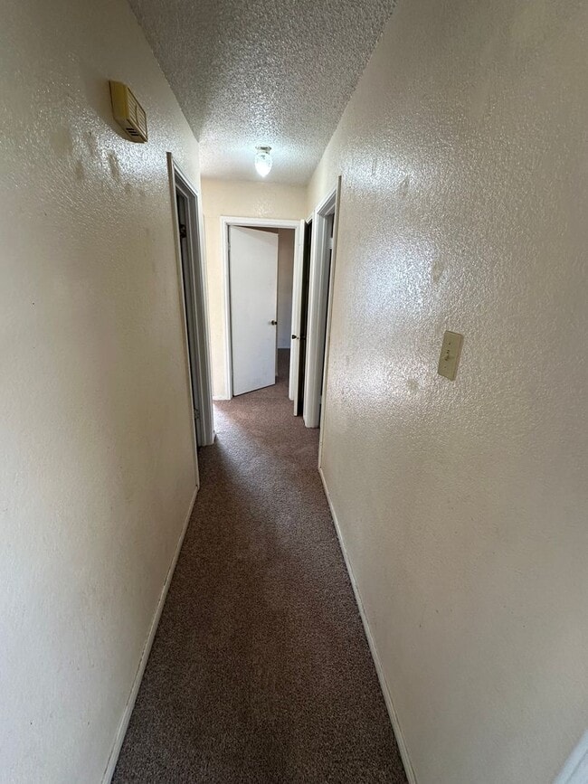 Building Photo - COMING SOON !