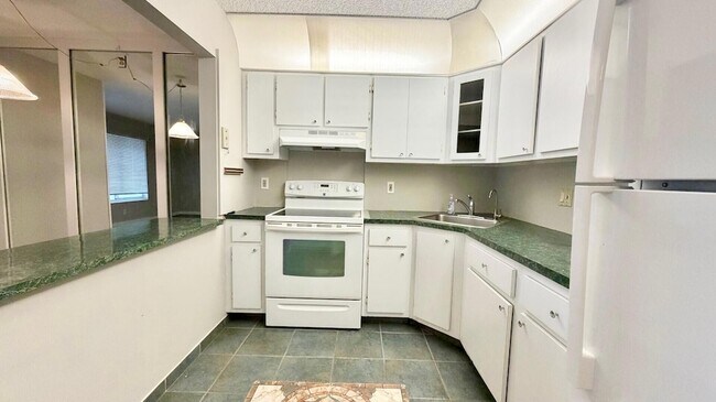 Building Photo - 4717 Sable Pine Cir