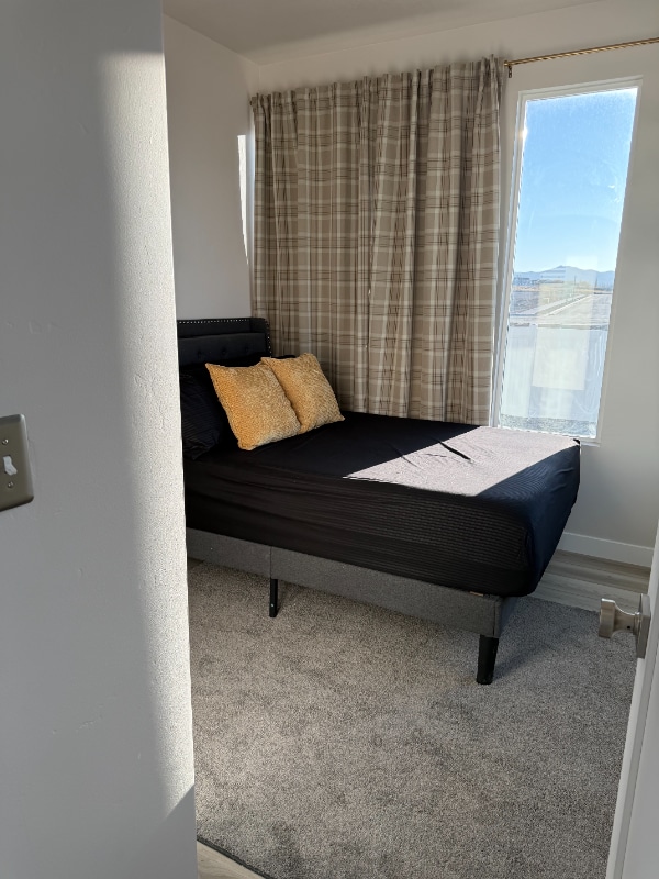 Building Photo - 859 Basalt Ln