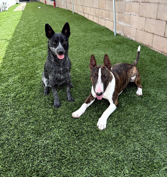 Pet Friendly with Dog Run - Chateau De Ville