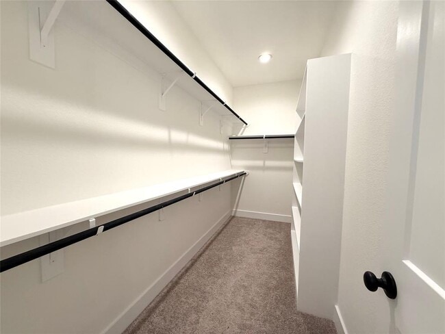 Building Photo - 30421 Zoysia Pt Ln