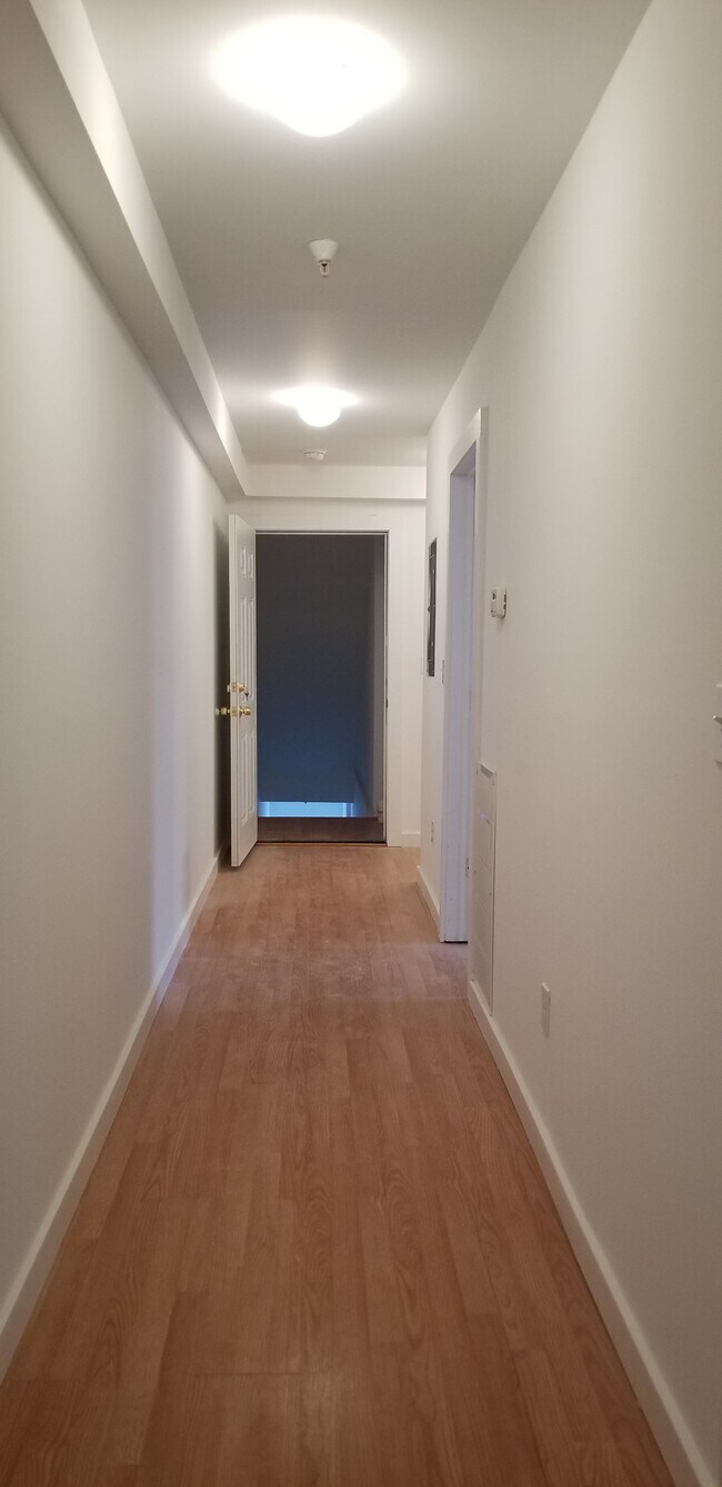 Hallway - 73 Jersey St