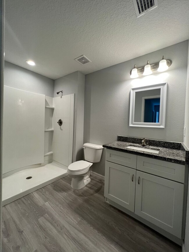 Building Photo - GORGEOUS 3 BD/2BA Home in Beautiful Ocklawaha!!!