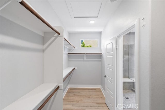 Building Photo - 1413 Ellerg Way