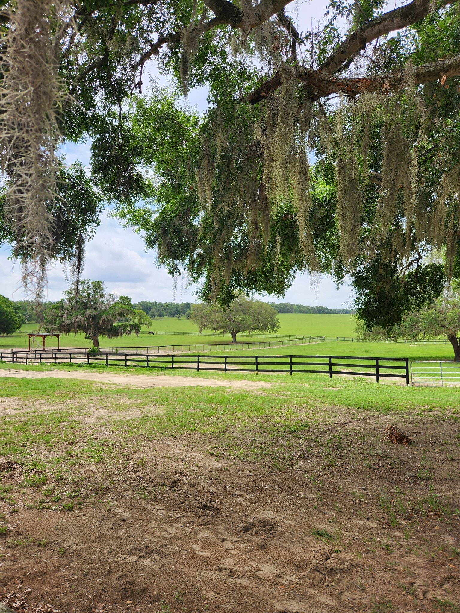 pasture view of 500 acres - 5212 Bertsville Rd