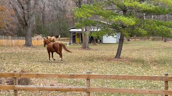 Building Photo - 9500 Fox Valley Dr