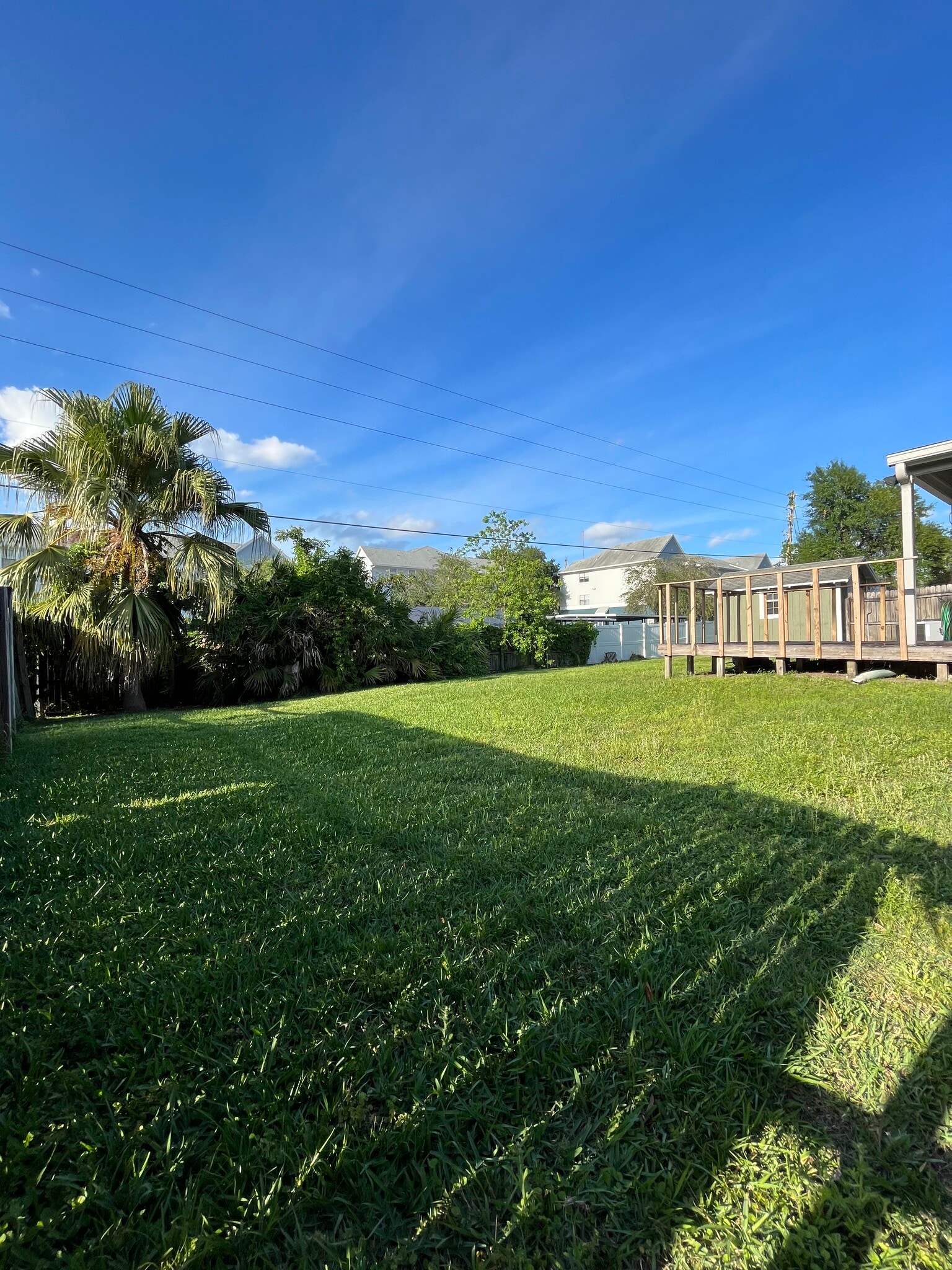 Backyard - 3323 Vishaal Dr