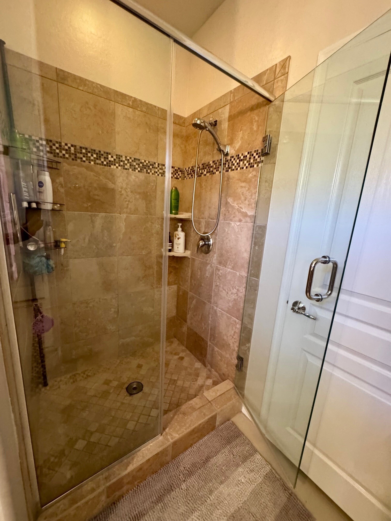 BR1 Shower Door - 1582 Smoke Signal Ct