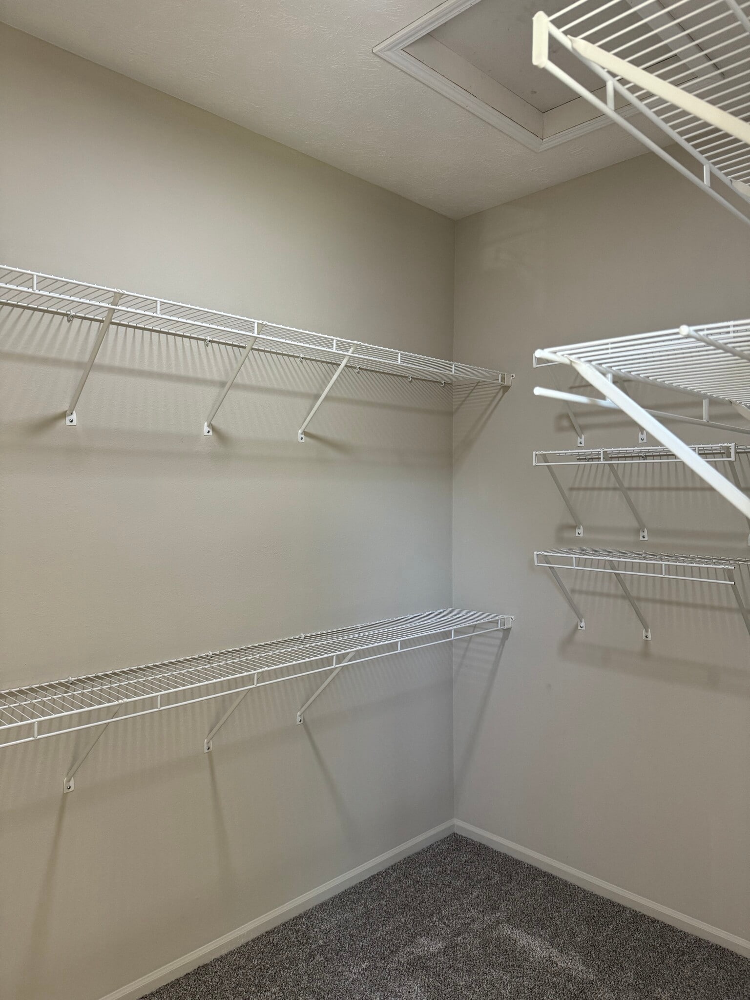 Huge walk in closet - 4418 S 178th St
