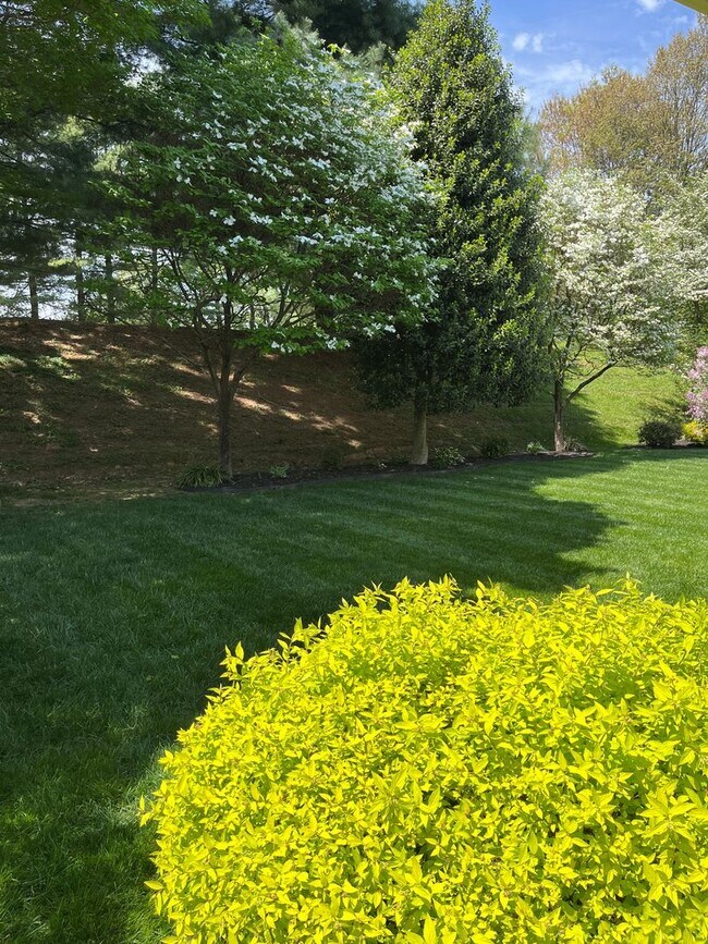 Building Photo - Updated & Landscaped 4 Bedroom, 4 Bath Hom...