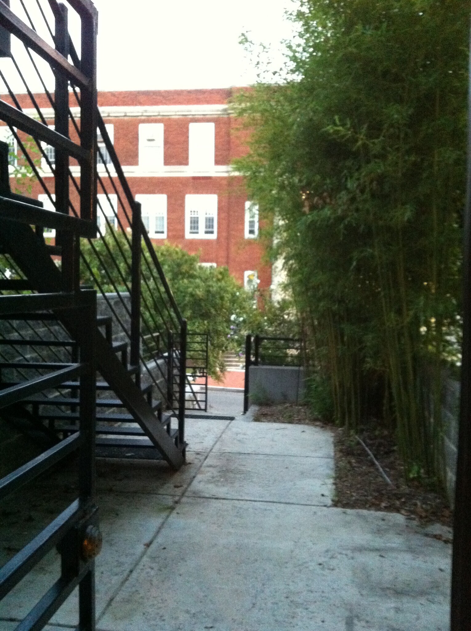 Patio outside front door - 803 Euclid Street Northwest