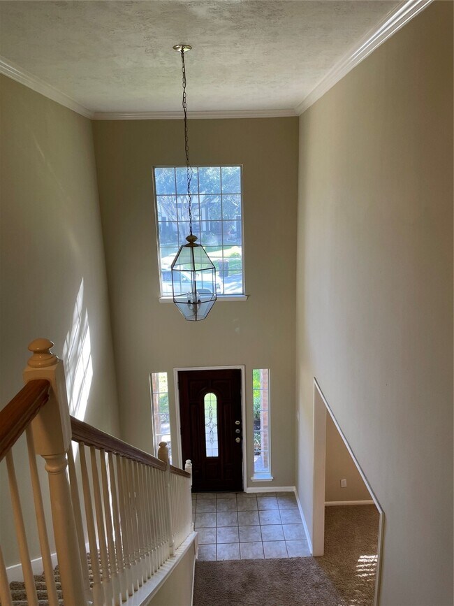 Building Photo - 3911 Lady Atwell Ct