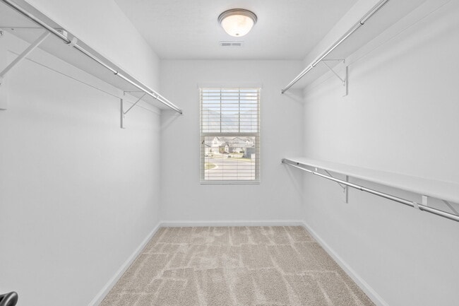Building Photo - 1728 N Pintail Cv