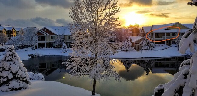 beautiful seasons! - 4815 Hahns Peak Dr