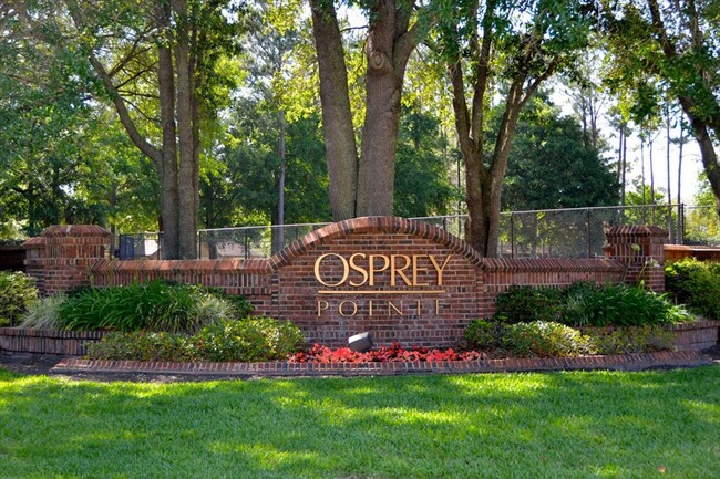 Building Photo - Beautiful Pool Home in highly desired Osprey Pointe!