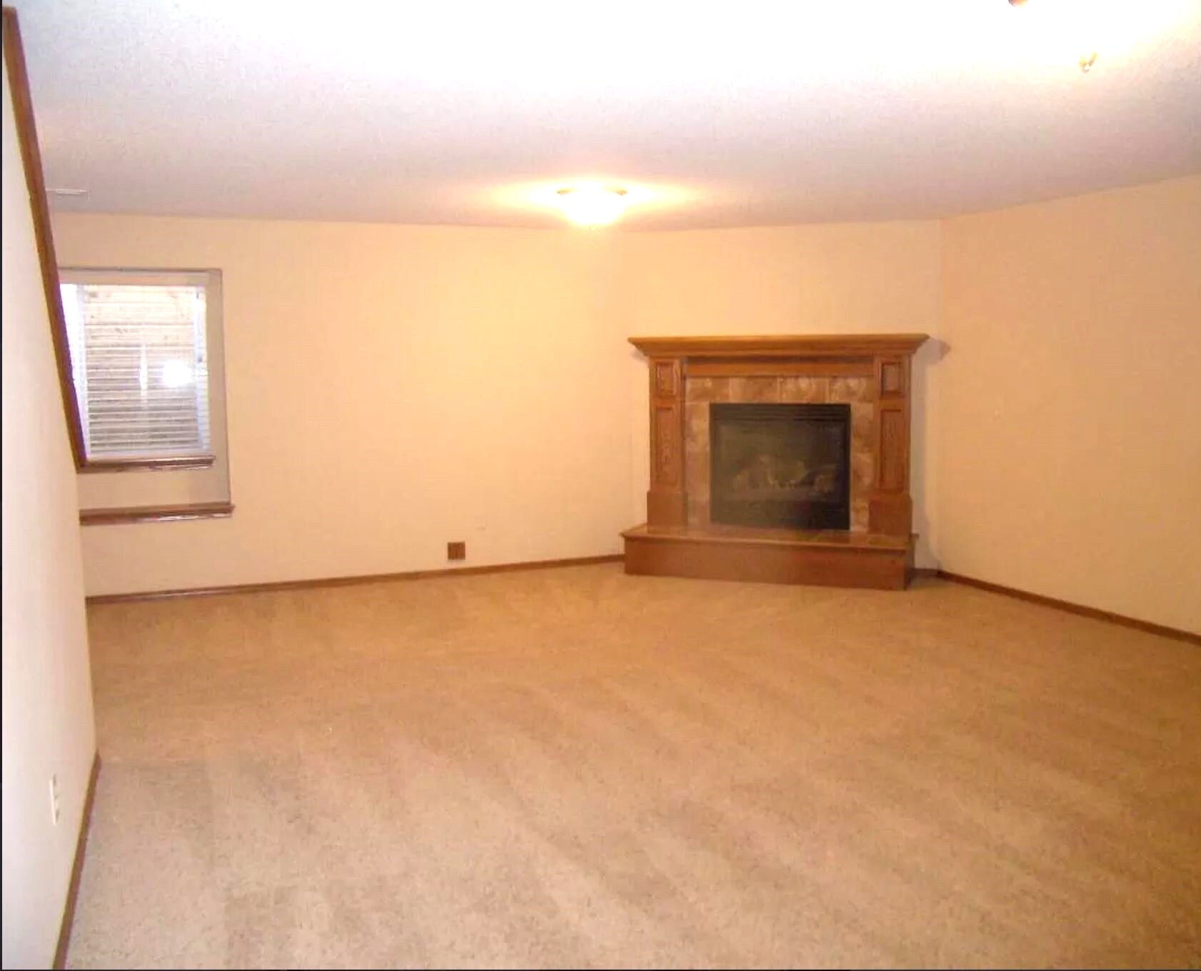 Large View Out Basement Family/Rec Room with Fireplace - 3633 N Rushwood Ct