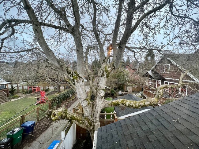 Building Photo - Phinney Ridge Cottage