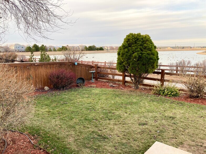 Backyard - 15949 Longford Dr