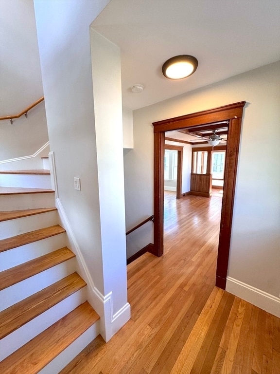 Building Photo - 14 White St