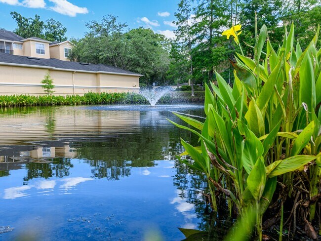 Building Photo - Tampa Palms Condo