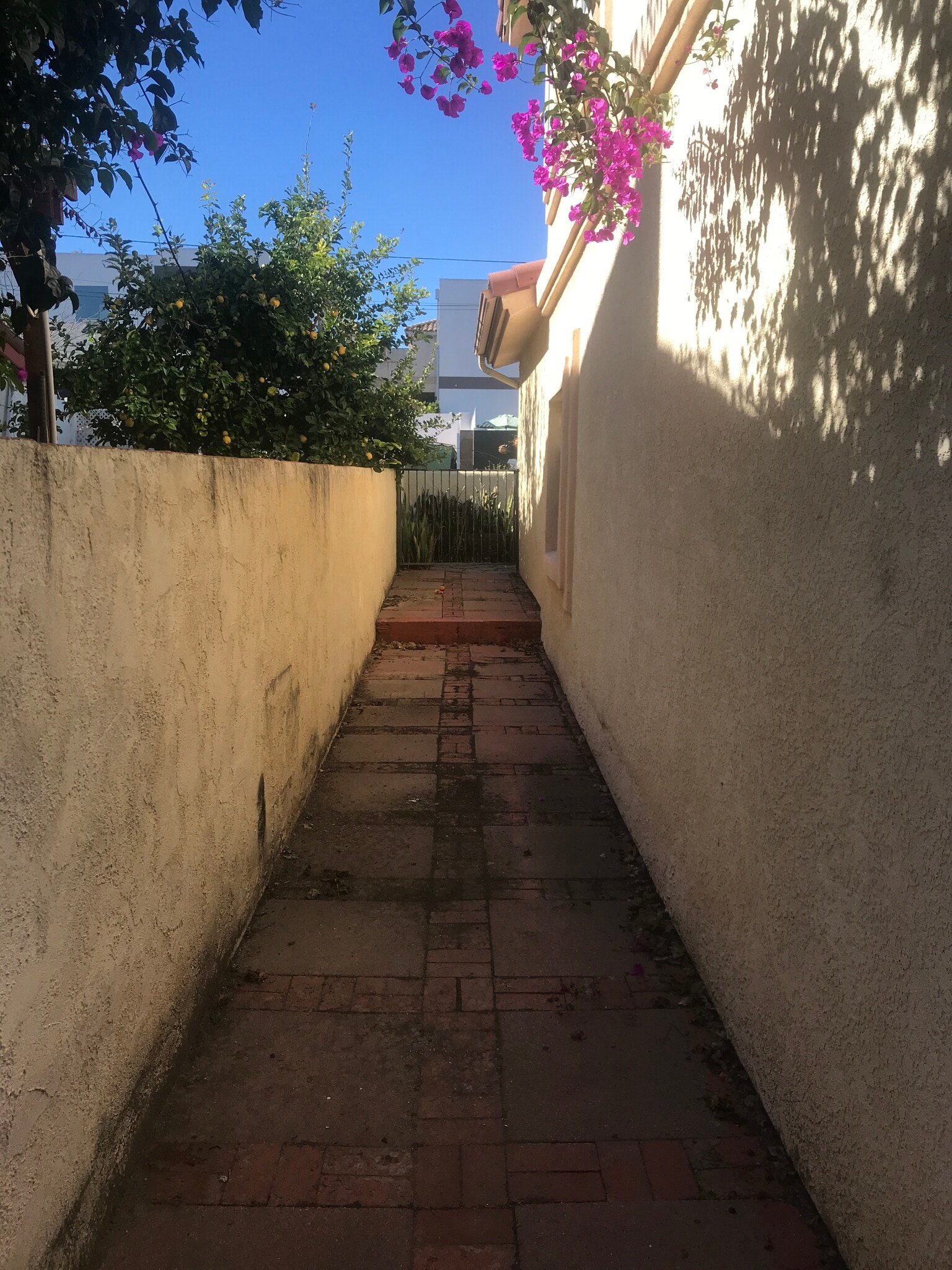 side of house facing Mackay Lane - 1304 Mackay Ln