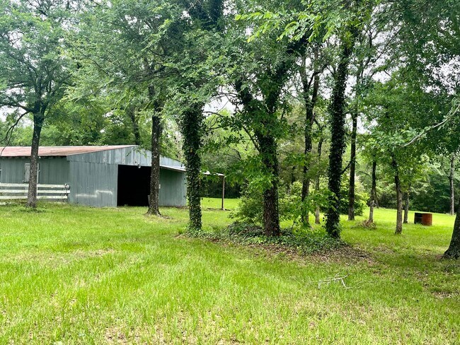 Building Photo - Beautiful 3/2 Farmhouse on Acreage