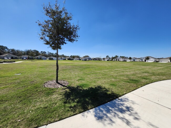 Building Photo - 33752 Sky Blossom Cir