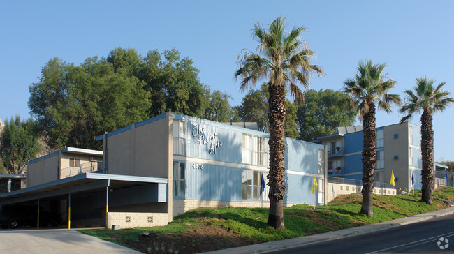 Building Photo - The Palms Apartments