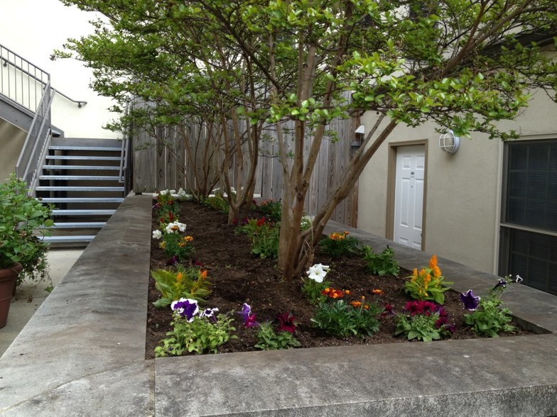 Court Yard - The Lofts at 2nd and LOMA