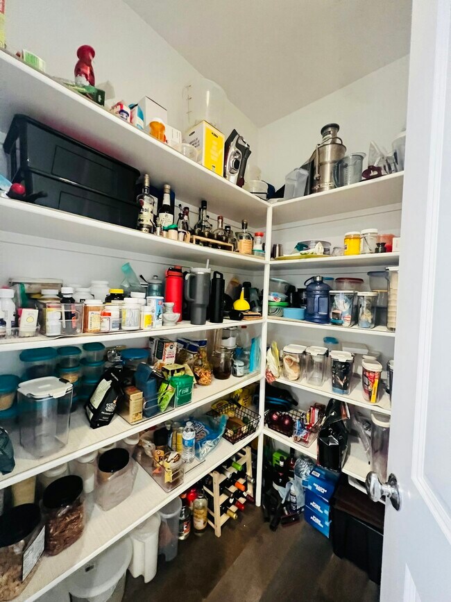 Building Photo - 1494 Arcangel Ter