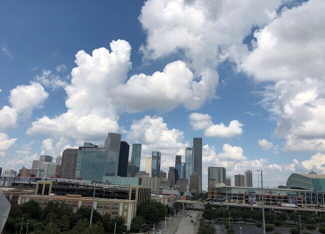 Downtown and Minute Maid - Both blocks from home - 505 Bastrop St
