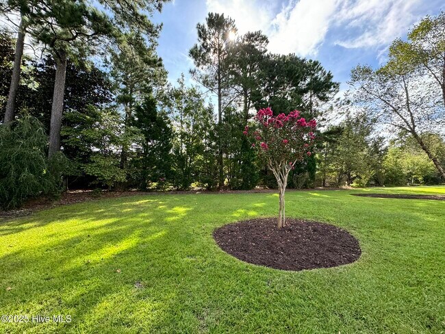 Building Photo - 1105 Wyland Ct