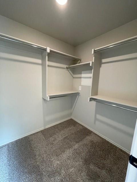 Building Photo - 3217 Mt Nebo Dr