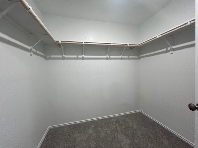 Building Photo - 531 Paris St