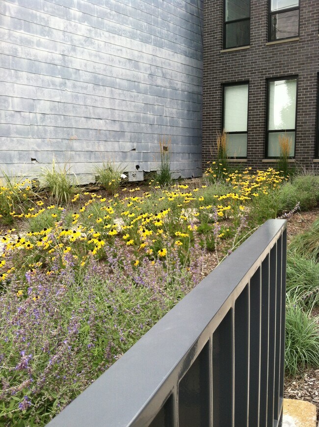 Walk in through the colorful rain garden - 432 Liberty Hl