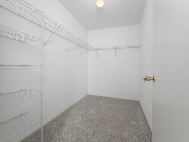 Building Photo - 1309 Silverstone Dr