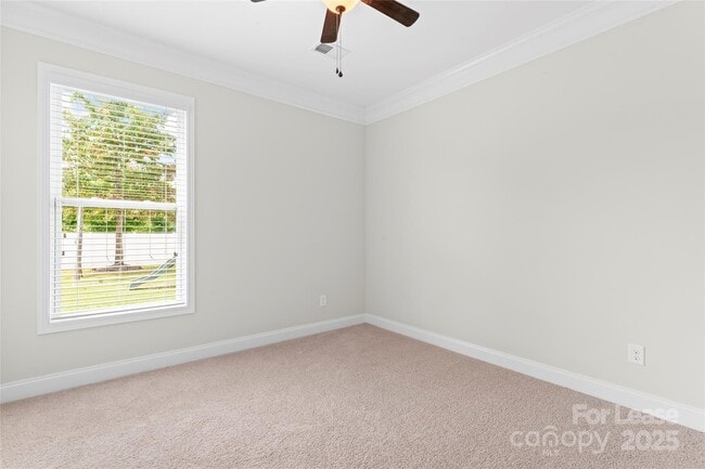 Building Photo - 1037 Jack Pine Rd