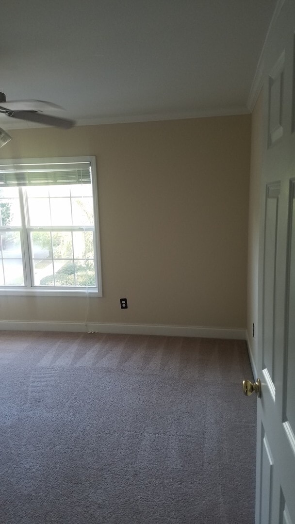 Building Photo - Lovely Townhome in Southeast Columbia