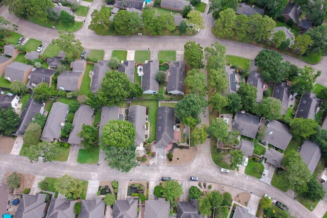 Building Photo - 3402 Cape Forest Dr