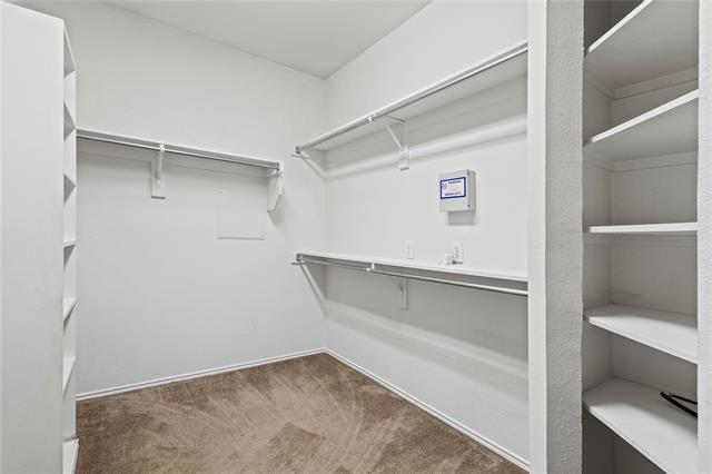 Building Photo - 3813 Oak Leaf Ln