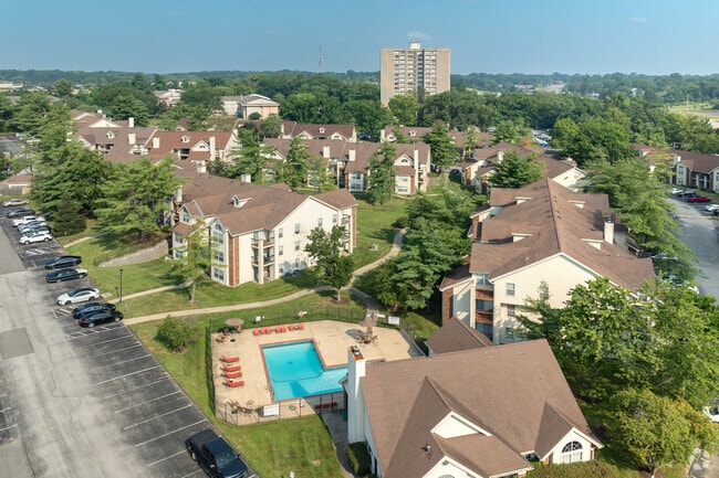 Aerial - Sugar Pines