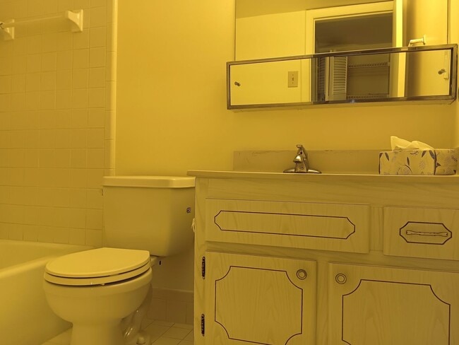 Building Photo - Sunny spot in St Pete, close to downtown & all kinds of shopping, dining